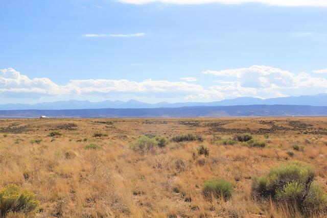 5.4 Acres for Sale in Mesita, Colorado