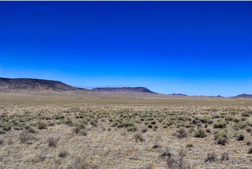 20 Acres for Sale in Mesita, Colorado
