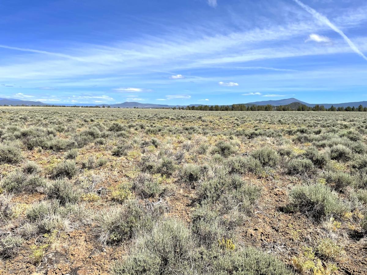 5.00 Acres for Sale in Sprague River, Oregon