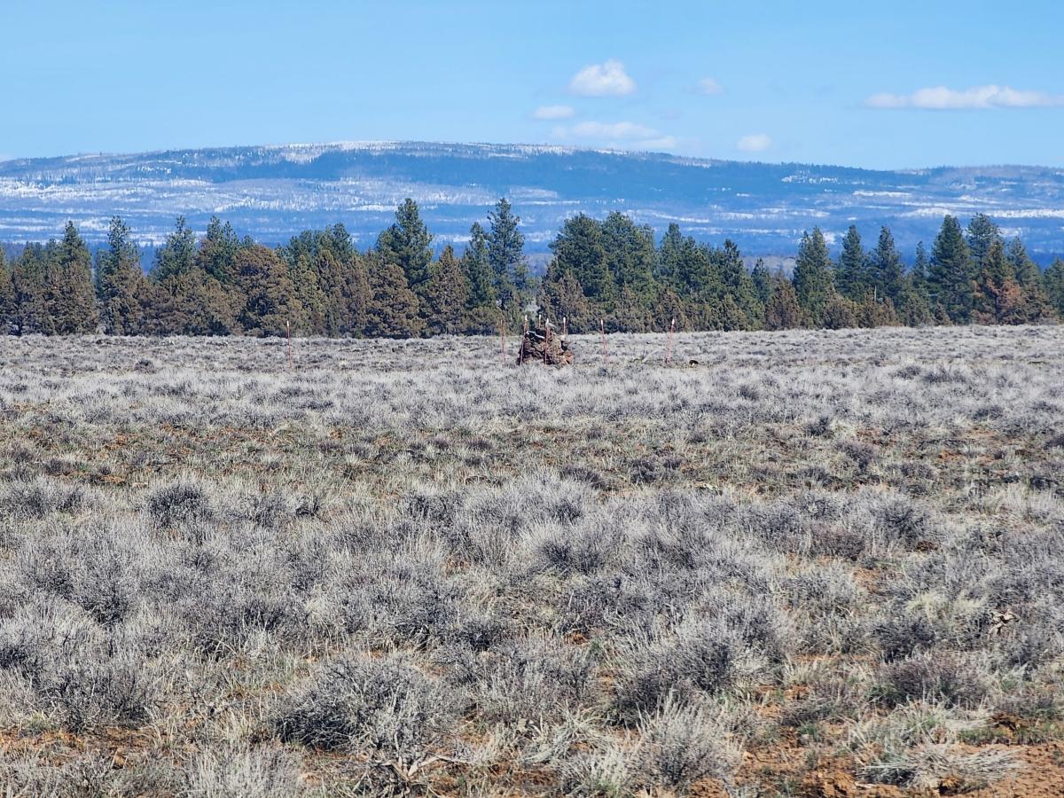 5 Acres for Sale in Beatty, Oregon