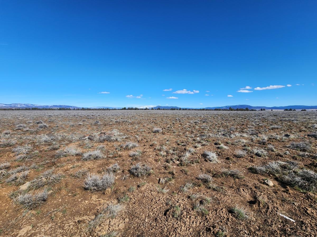 5 Acres for Sale in Beatty, Oregon