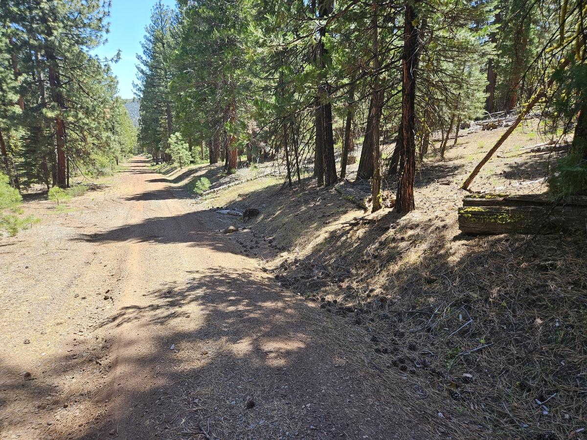 1.19 Acres for Sale in Alturas, California