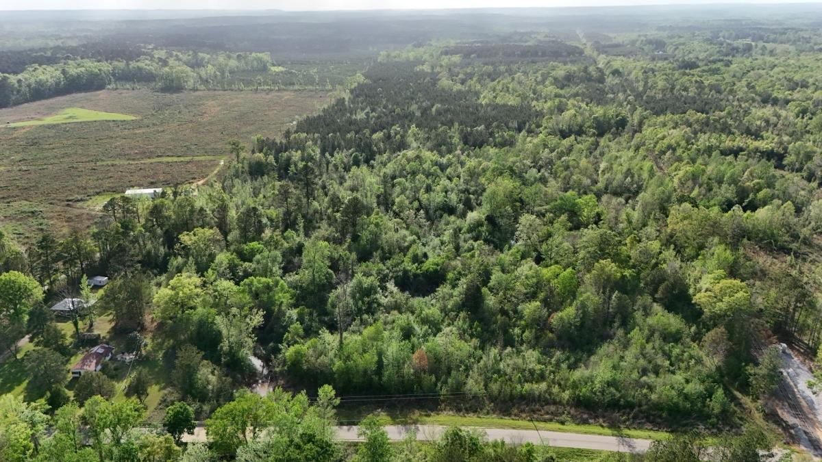 10.00 Acres for Sale in Lisman, Alabama