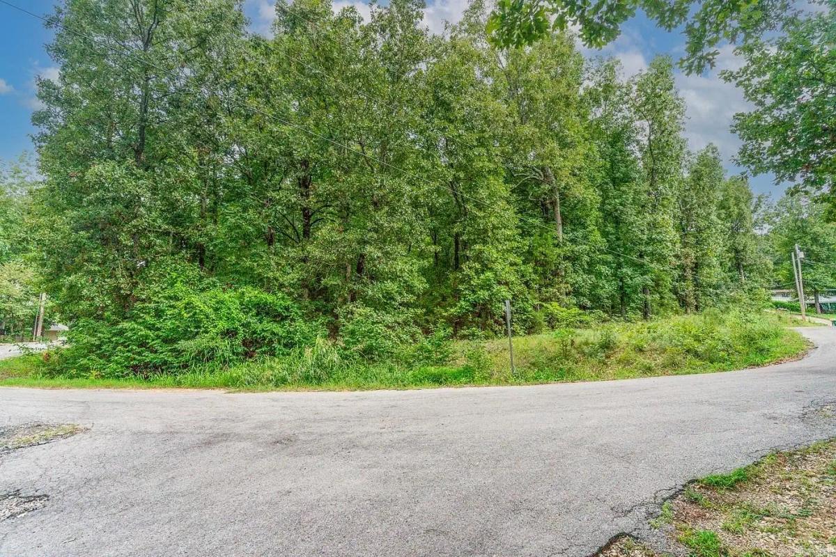 0.27 Acres for Sale in Cherokee Village, Arkansas