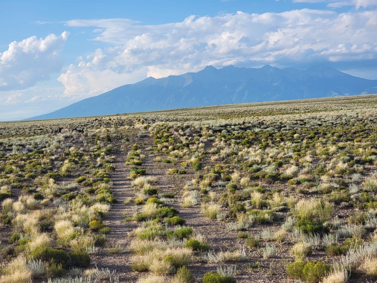 5.19 Acres for Sale in Blanca, Colorado