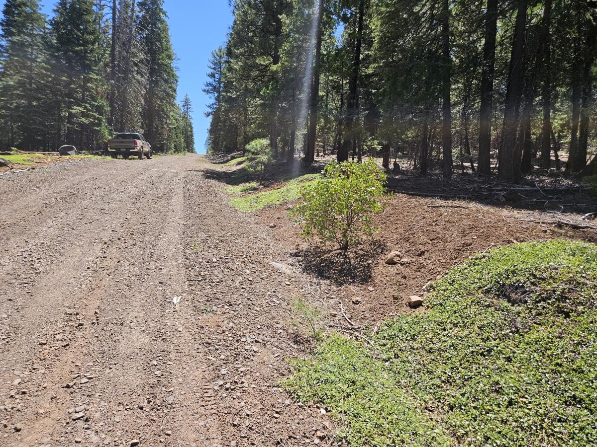 0.98 Acres for Sale in Alturas, California