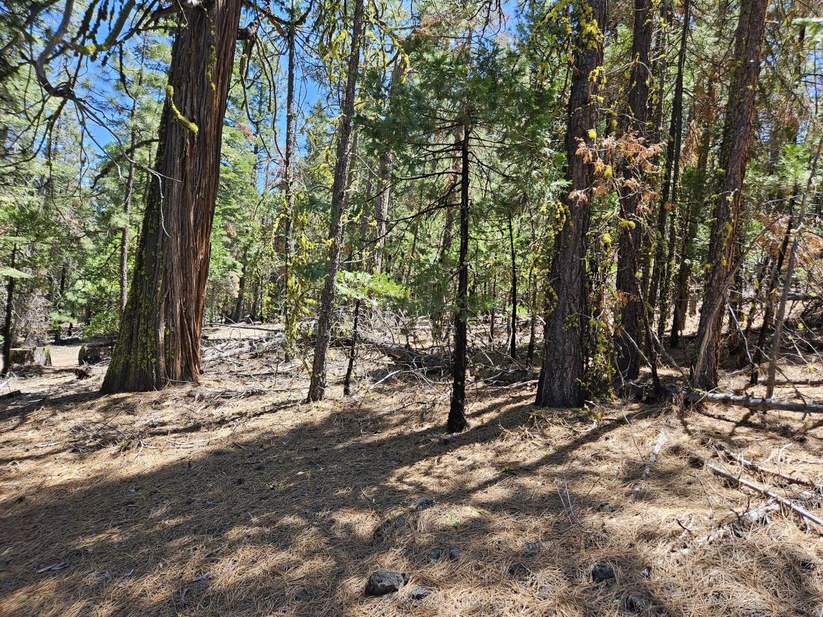 0.98 Acres for Sale in Alturas, California