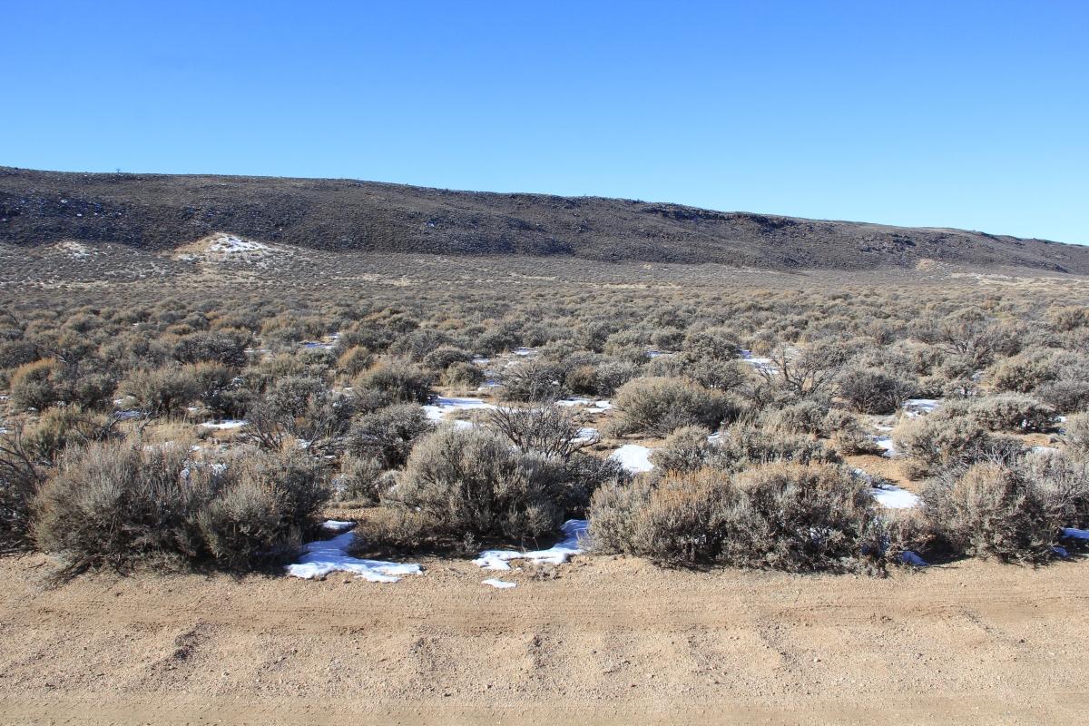 4.69 Acres for Sale in Blanca, Colorado