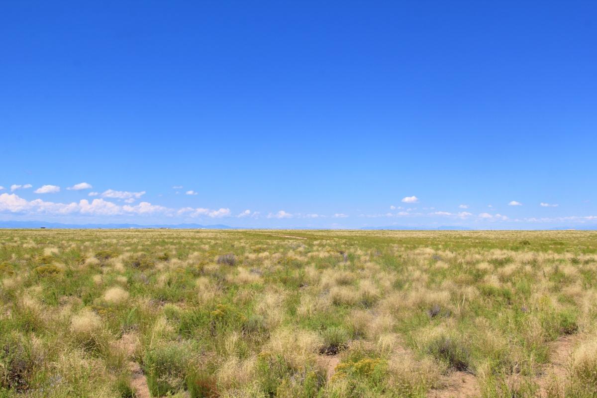 5.5 Acres for Sale in Blanca, Colorado