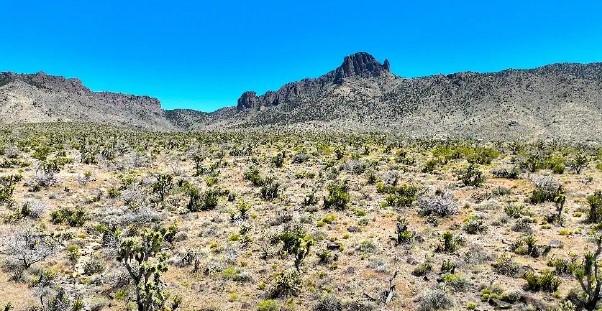 5.00 Acres for Sale in Dolan Springs, Arizona