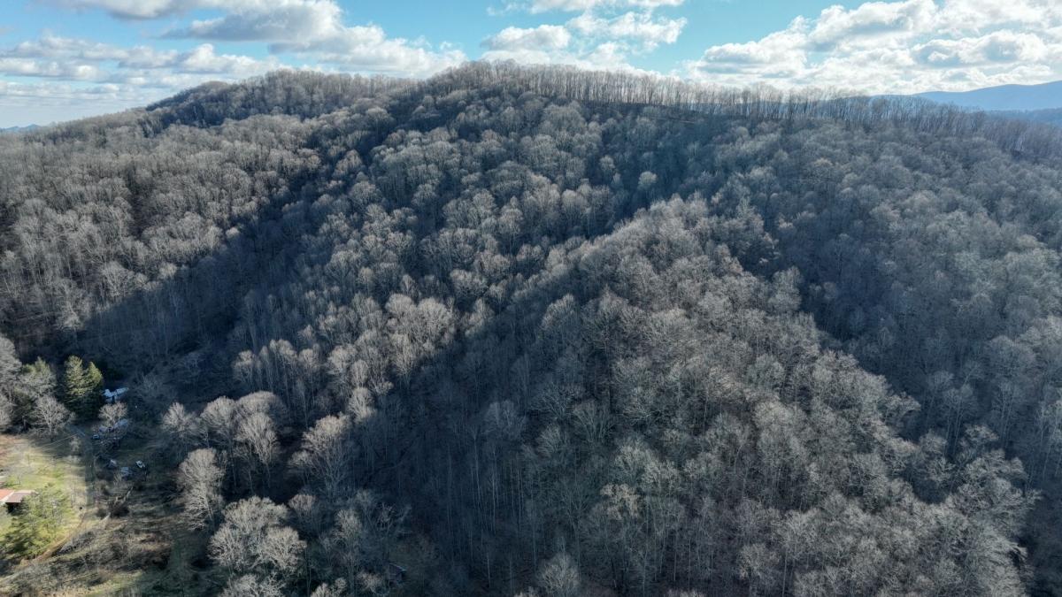 42.64 Acres for Sale in Bluefield, Virginia