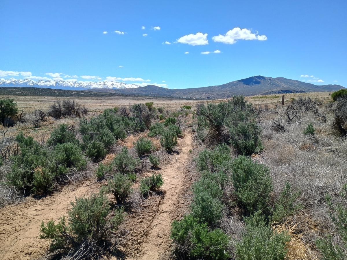 1.89 Acres for Sale in Osino, Nevada