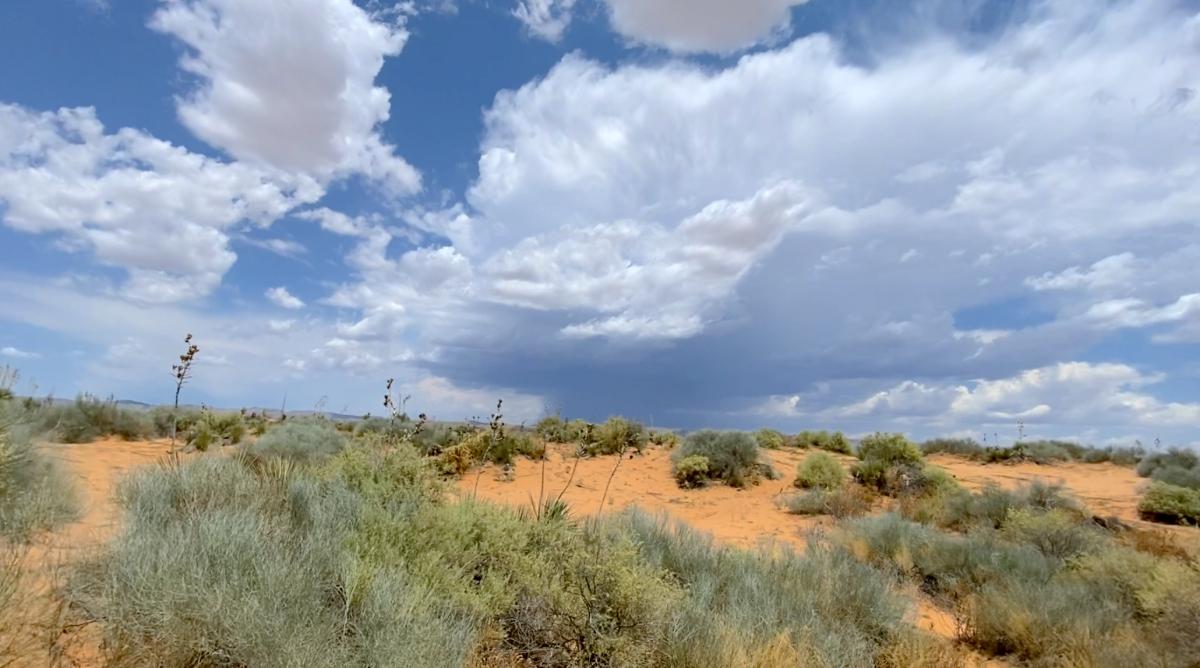 1.00 Acres for Sale in Agua Dulce, Texas