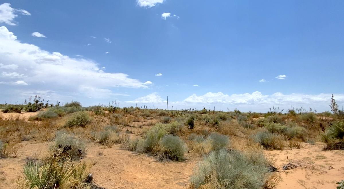 1.00 Acres for Sale in Agua Dulce, Texas