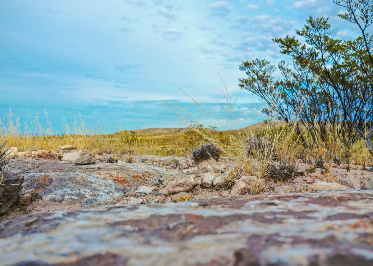 27 Acres for Sale in Salt Flat, Texas