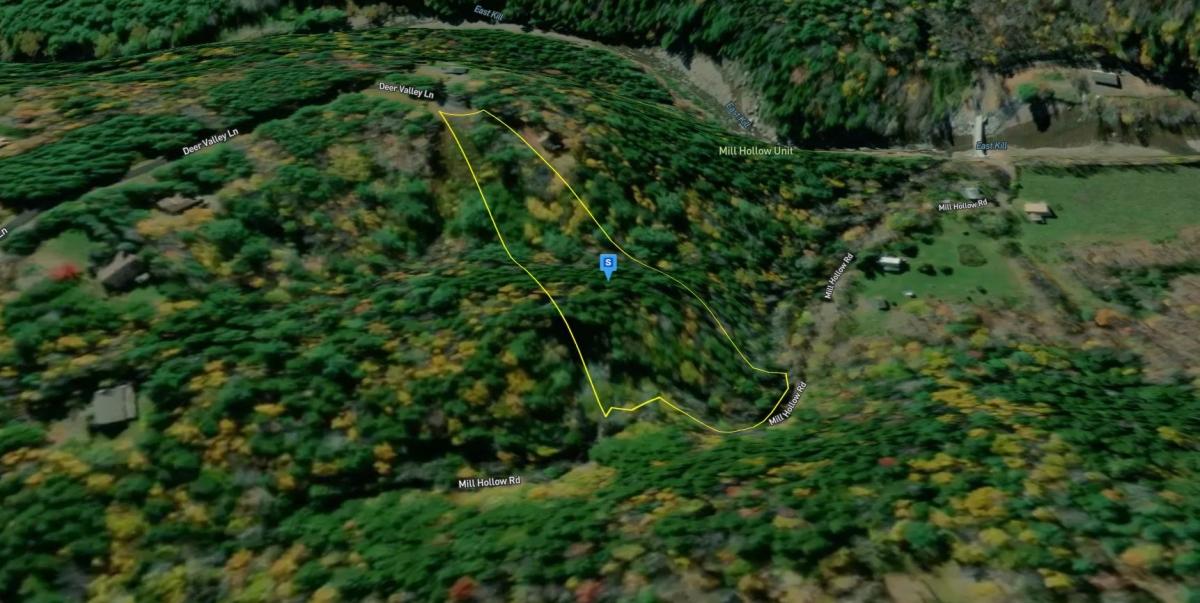 2.90 Acres for Sale in Jewett, New York