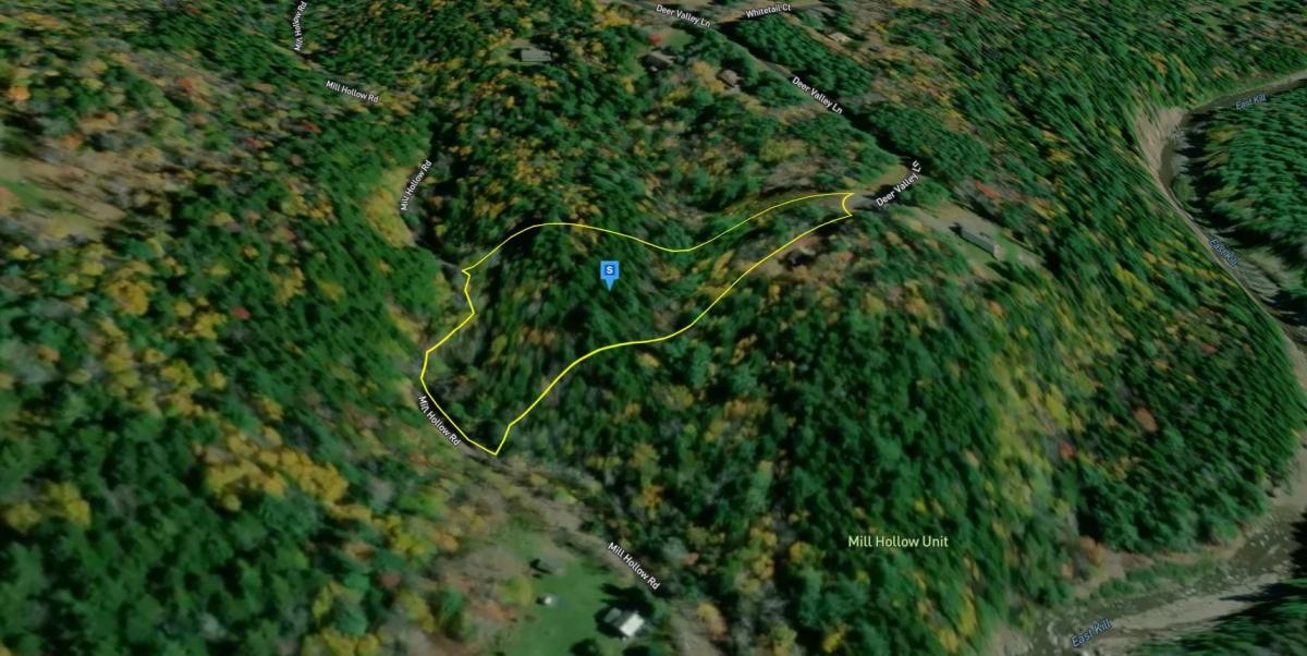 2.90 Acres for Sale in Jewett, New York