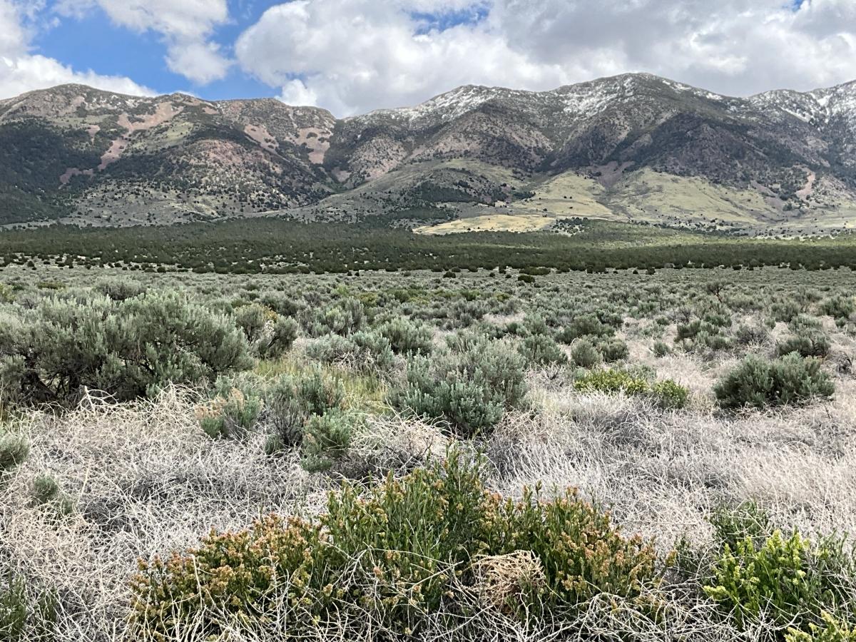 10 Acres for Sale in West Wendover, Nevada