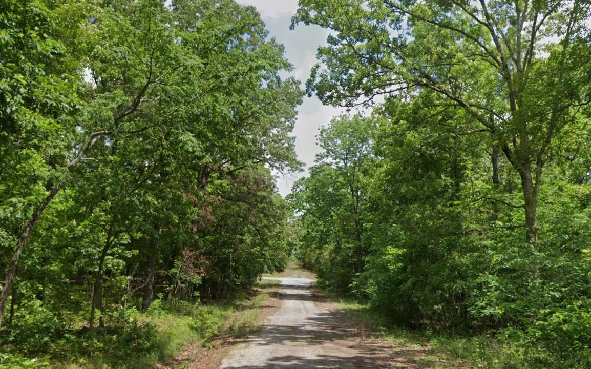 0.3 Acres for Sale in Horseshoe Bend, Arkansas