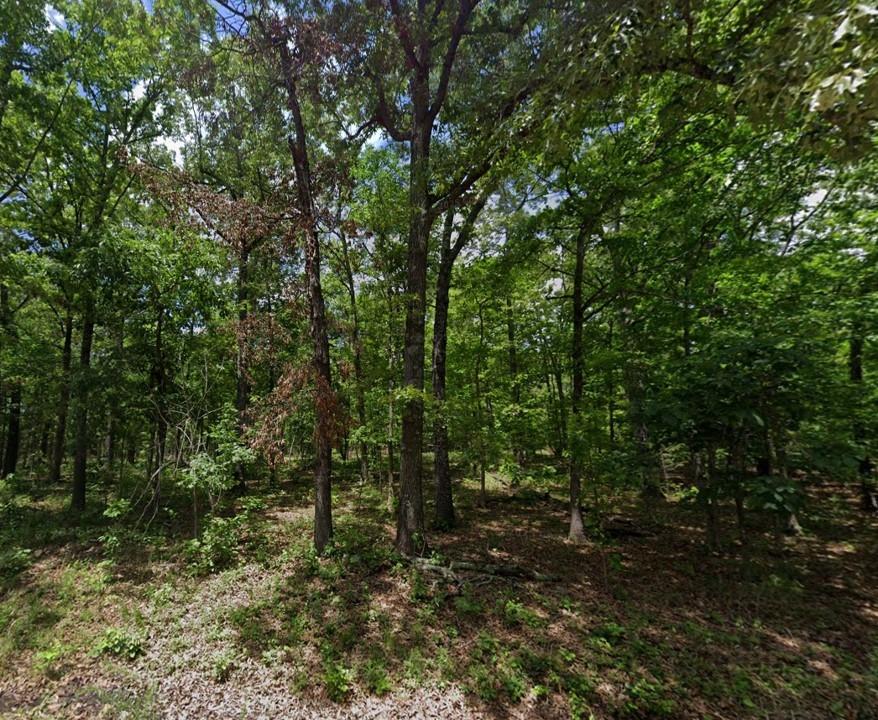 0.3 Acres for Sale in Horseshoe Bend, Arkansas
