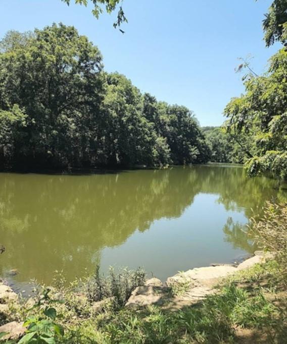 0.3 Acres for Sale in Horseshoe Bend, Arkansas