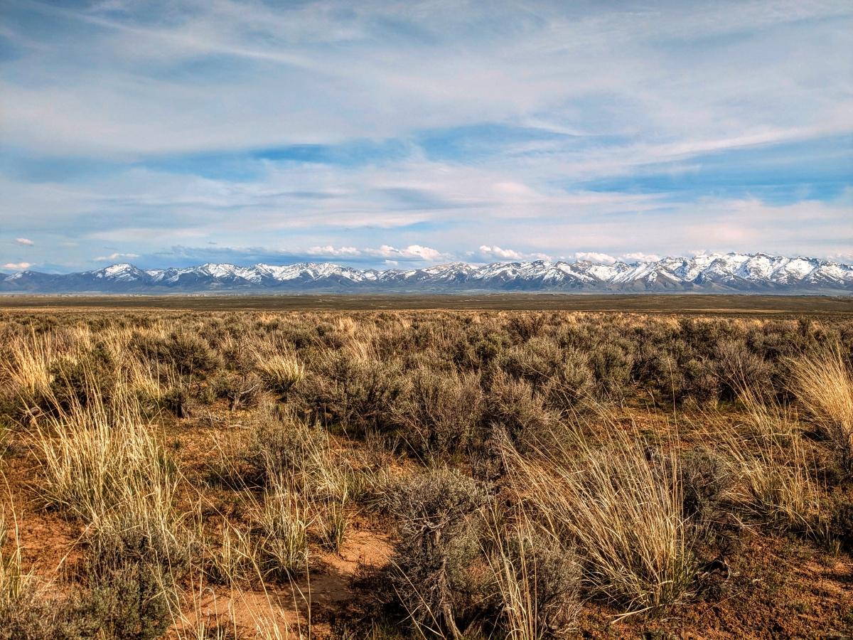 1.02 Acres for Sale in Elko, Nevada