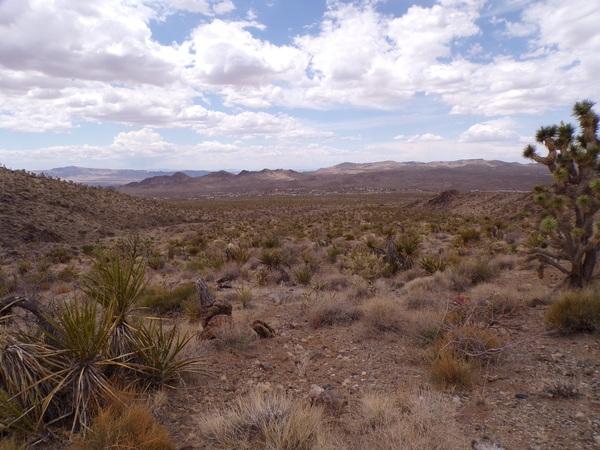 1.16 Acres for Sale in Dolan Springs, Arizona