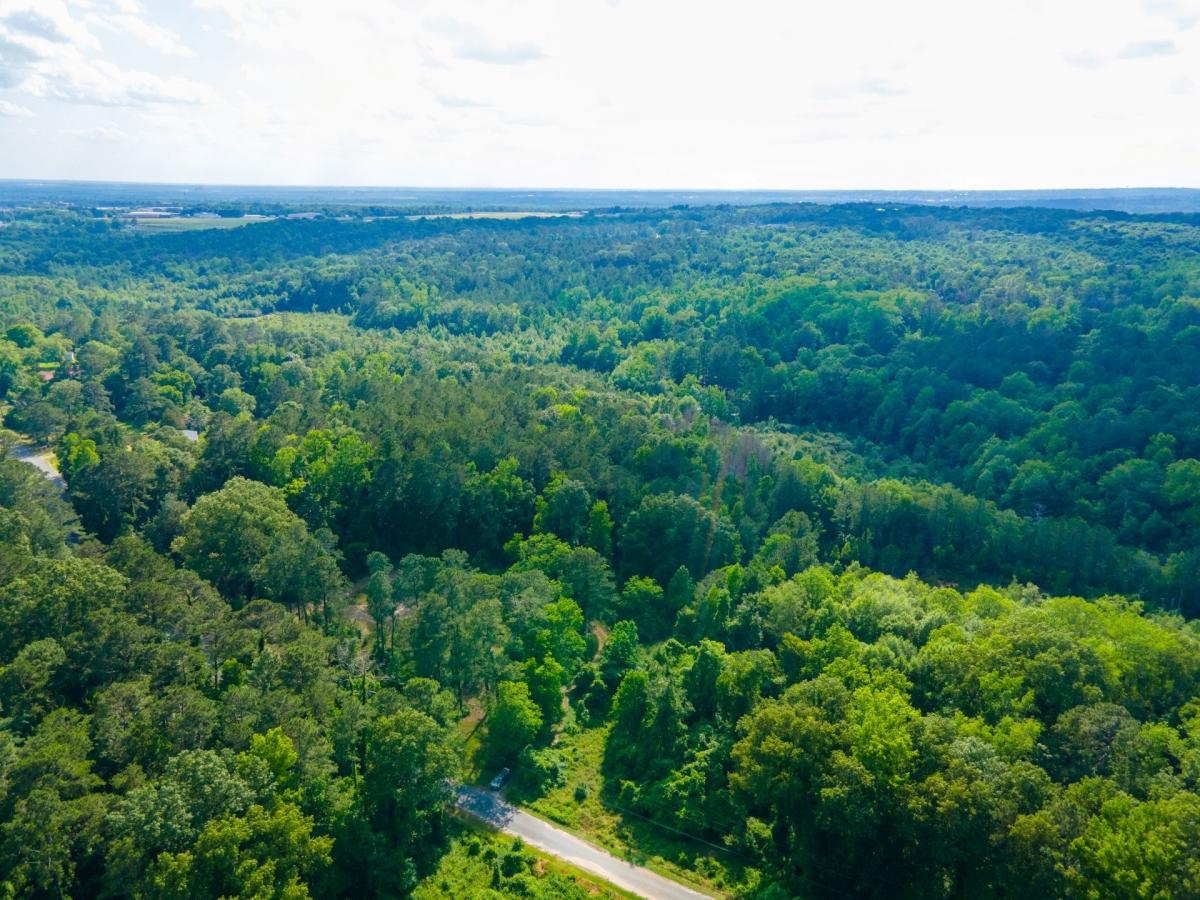 4.68 Acres for Sale in Macon, Georgia