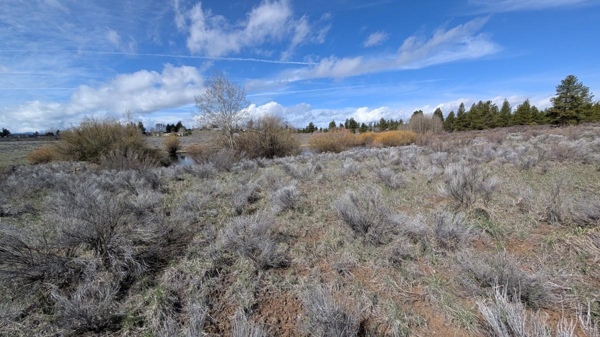 .43 Acres for Sale in Chiloquin, Oregon