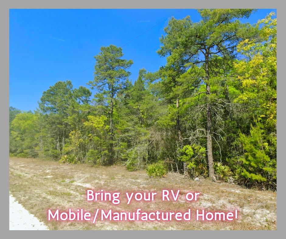 2 Acres for Sale in Perry, Florida