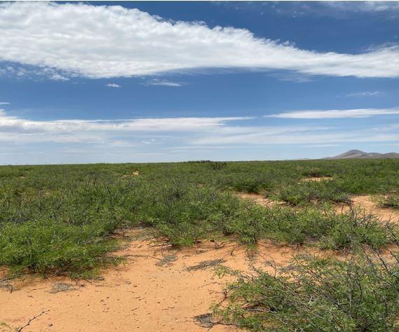 4.65 Acres for Sale in Gage, New Mexico