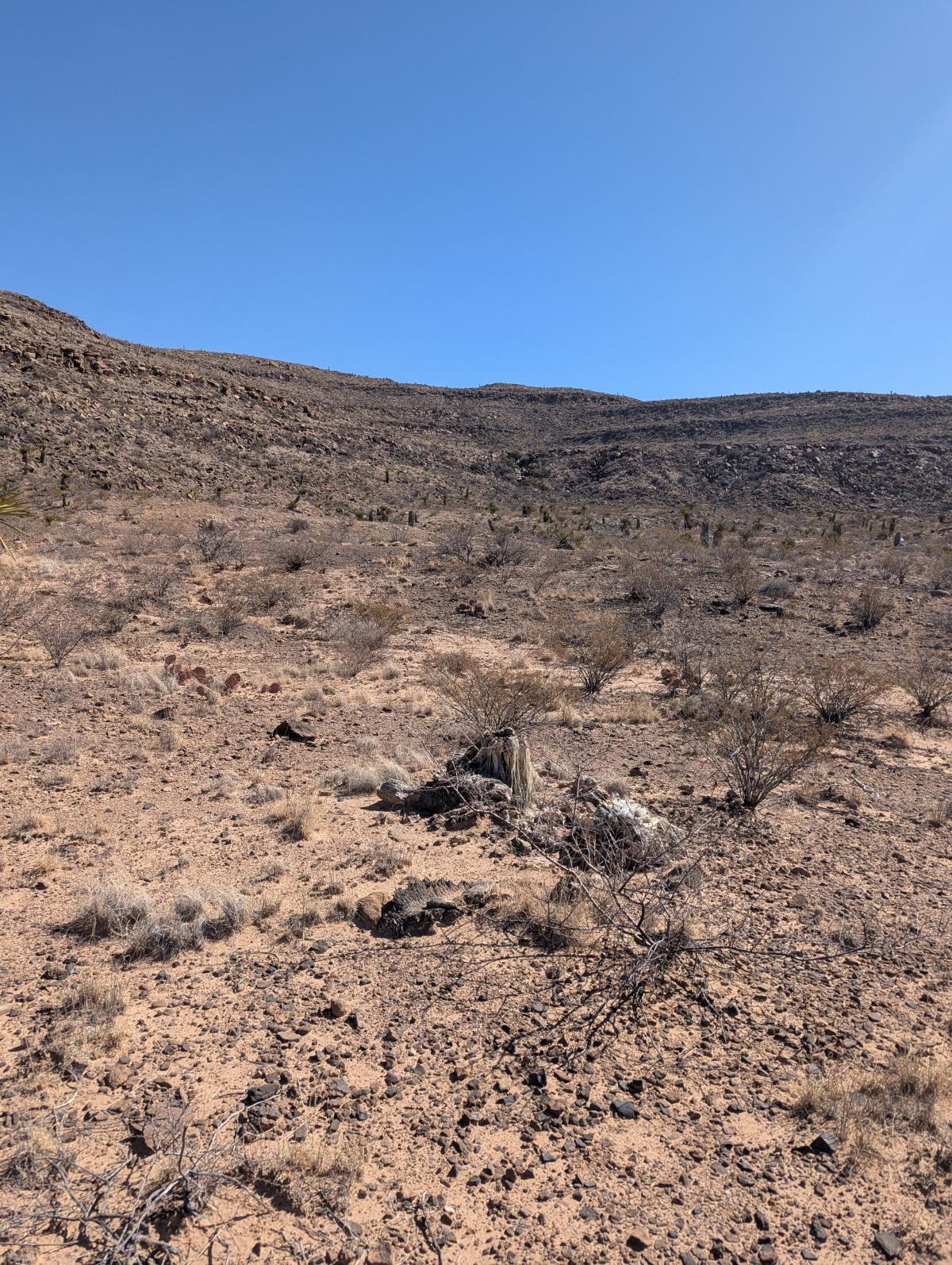 20 Acres for Sale in Mile High, Texas