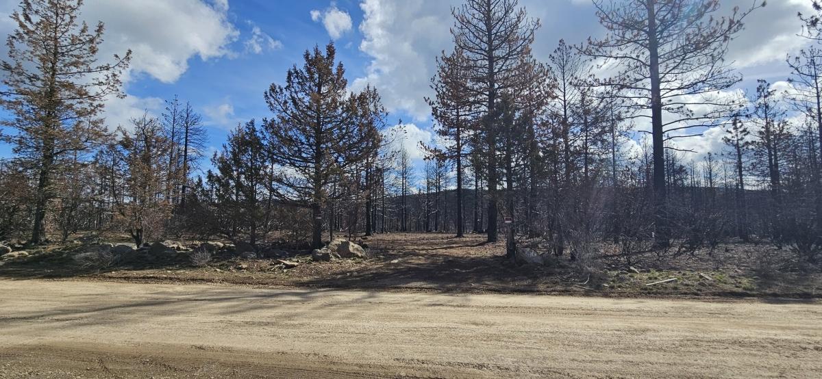 4.6 Acres for Sale in Bonanza, Oregon