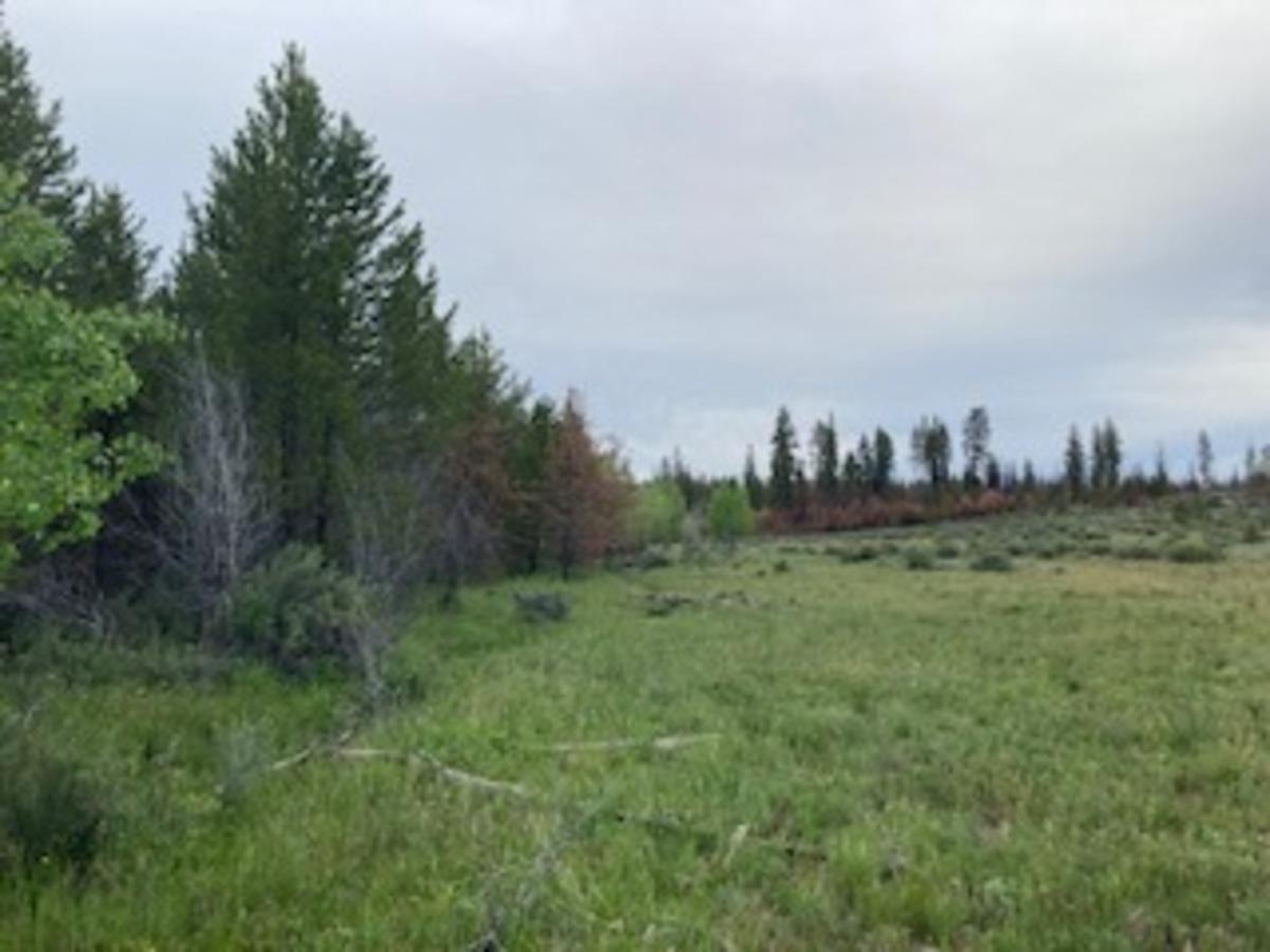 1.38 Acres for Sale in Chiloquin, Oregon