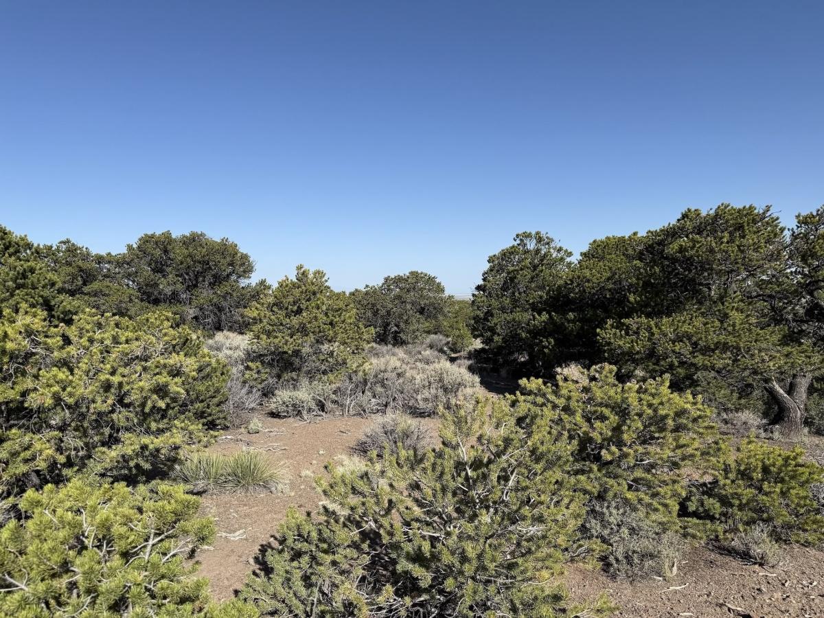 5.09 Acres for Sale in Fort Garland, Colorado