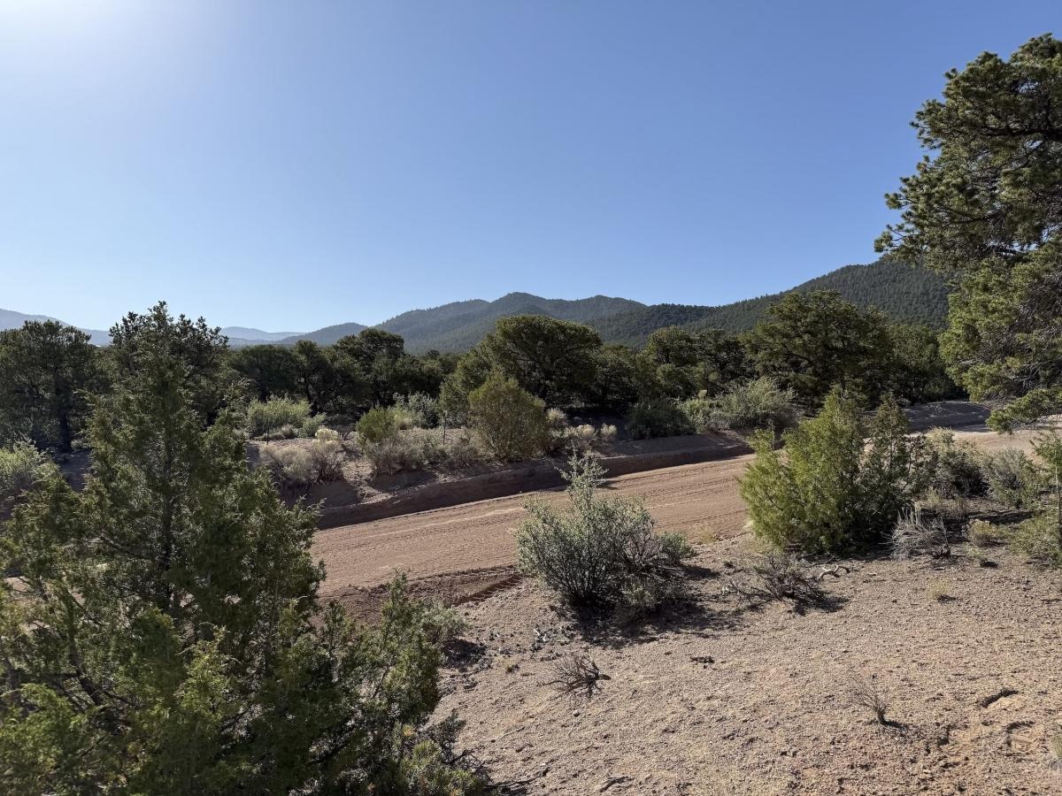 5.09 Acres for Sale in Fort Garland, Colorado