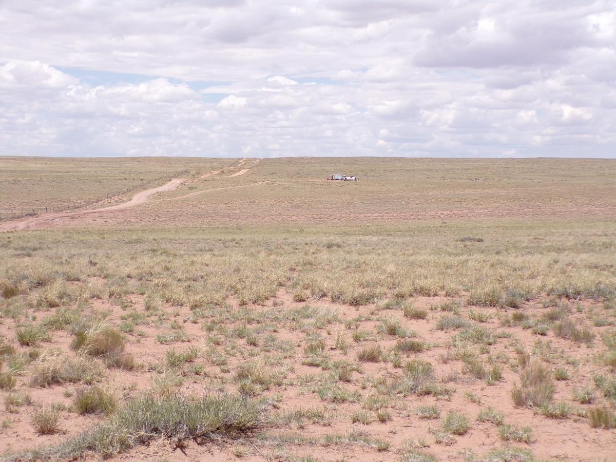 1.75 Acres for Sale in Sun Valley, Arizona