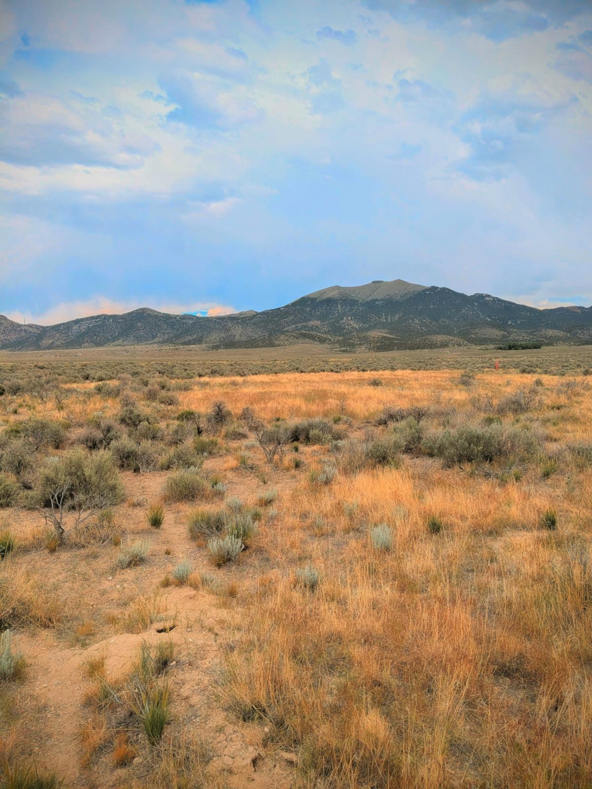 5 Acres for Sale in Montello, Nevada
