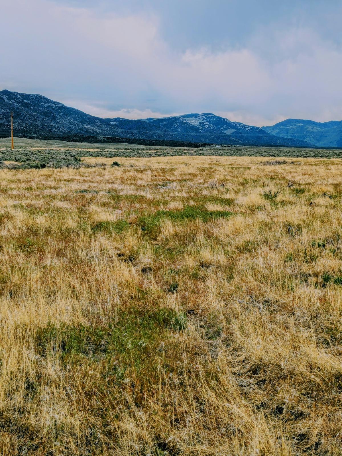 5 Acres for Sale in Montello, Nevada
