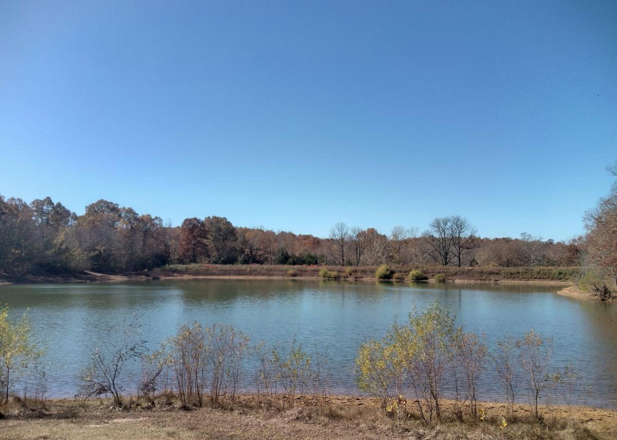 .26 Acres for Sale in Williford, Arkansas