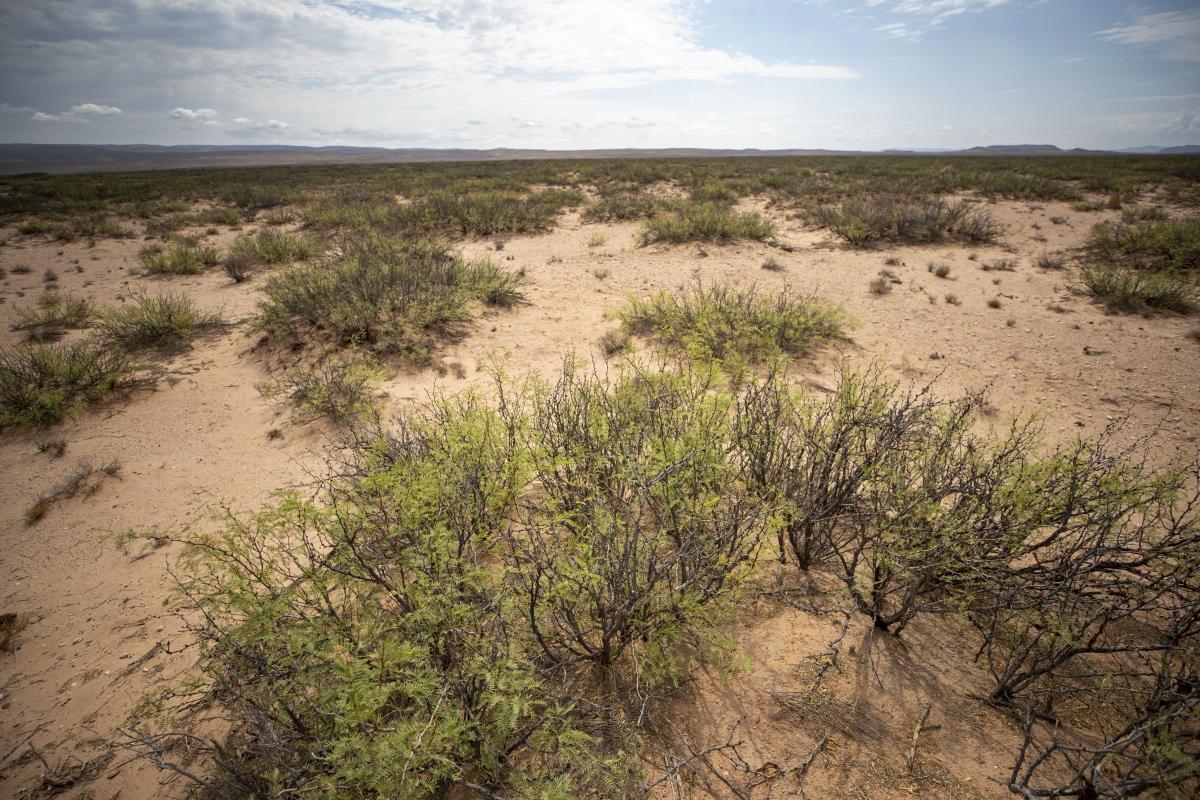 5.7 Acres for Sale in Plateau, Texas