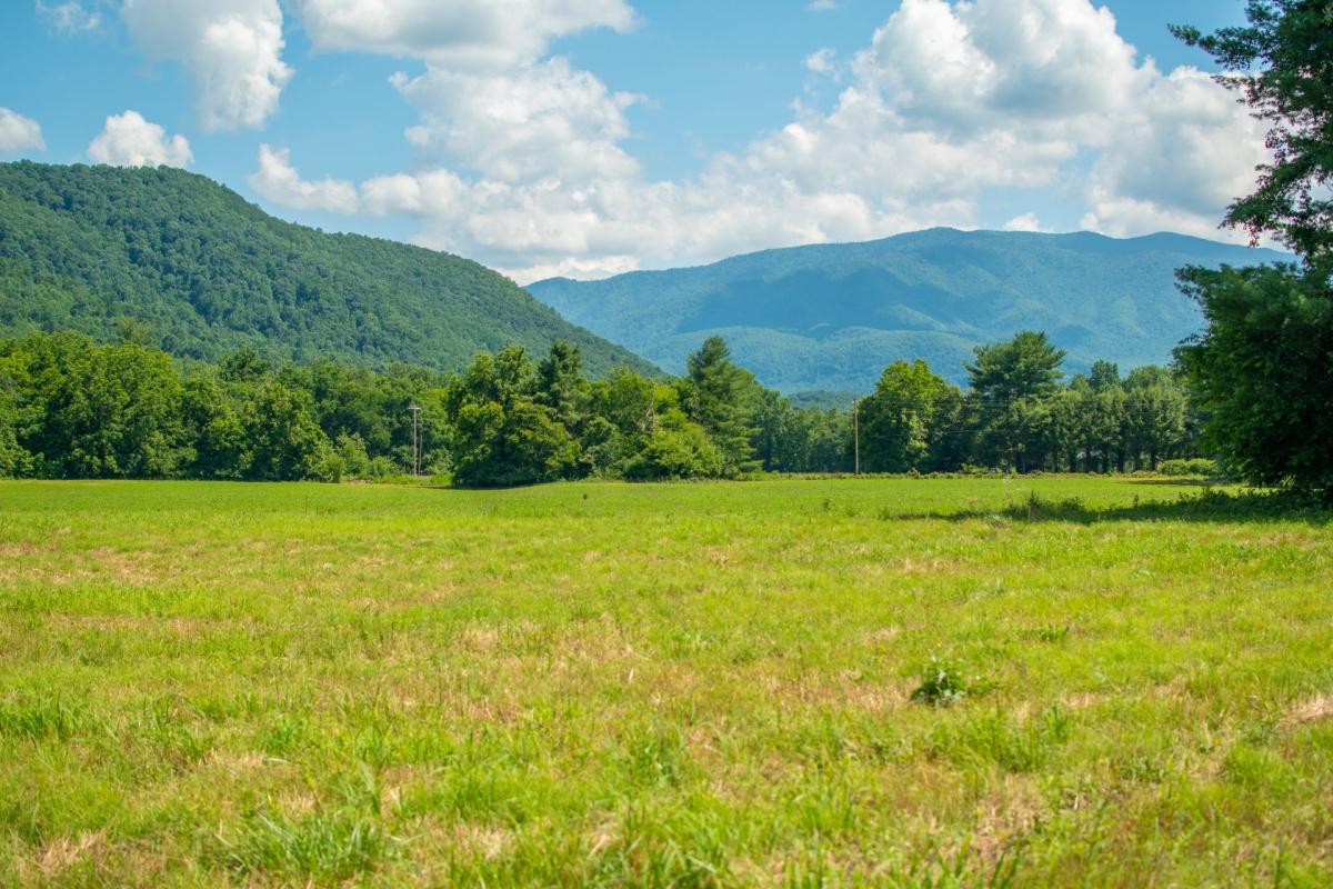 8.02 Acres for Sale in Cosby, Tennessee