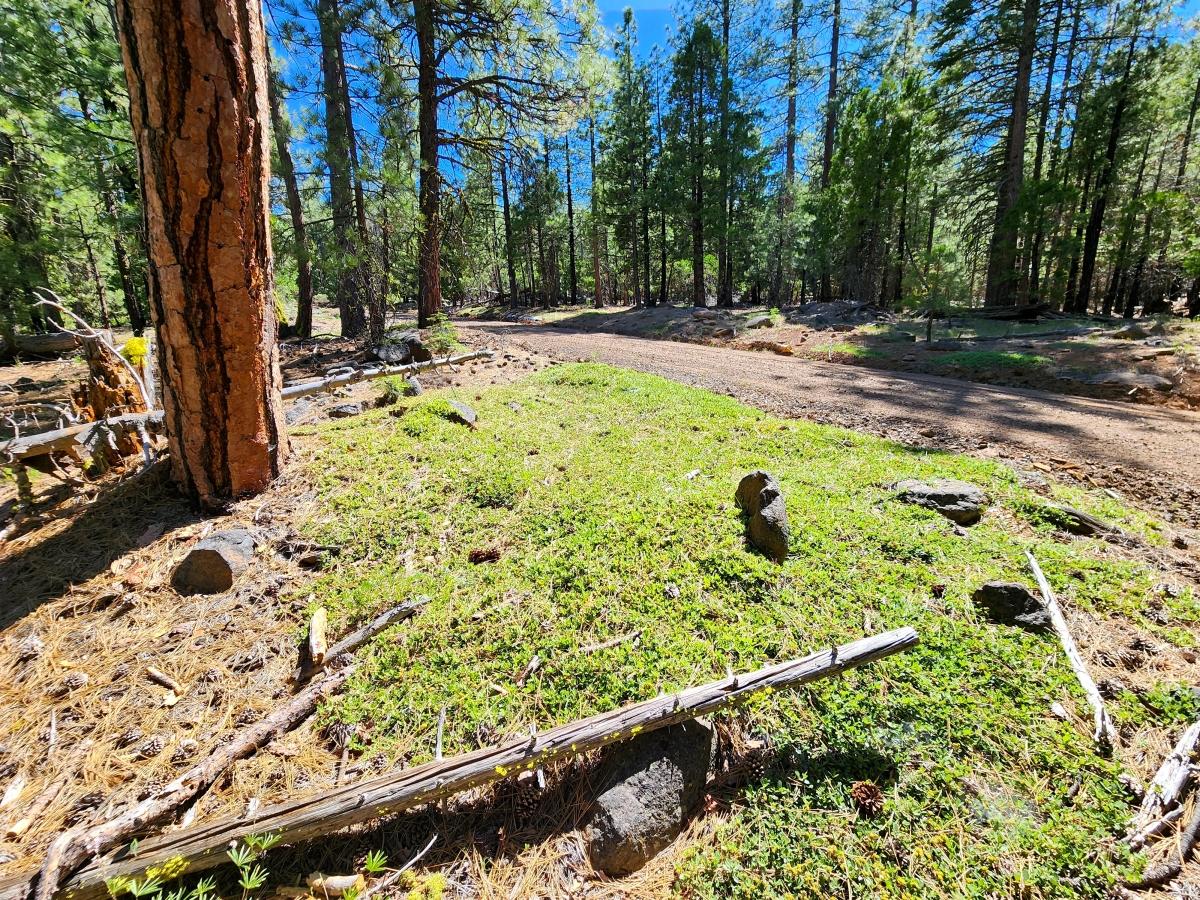 0.98 Acres for Sale in California Pines, California