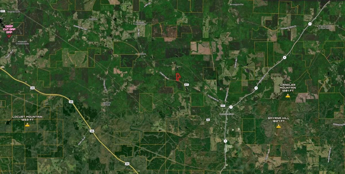 12.80 Acres for Sale in Goodwater, Alabama