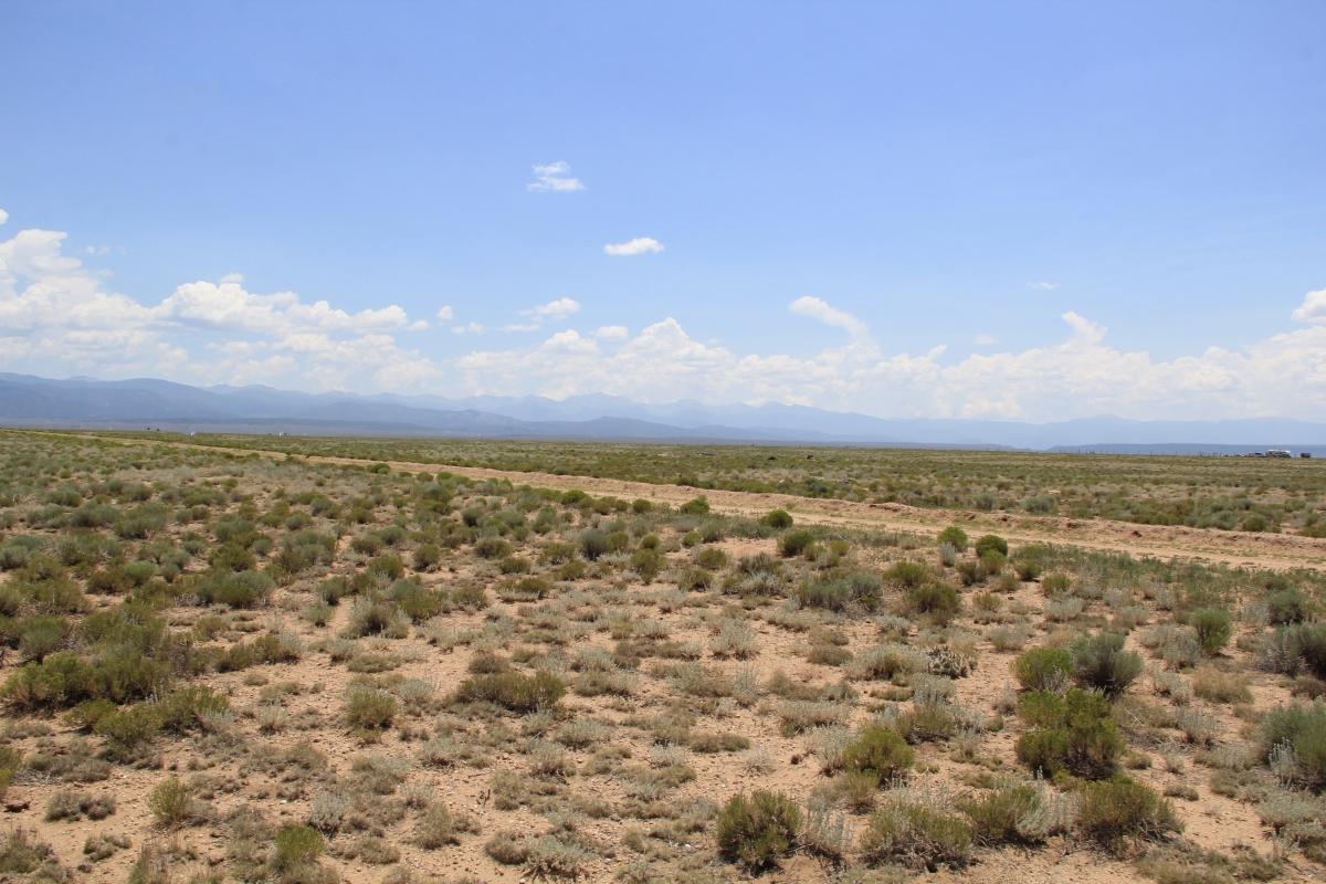 5 Acres for Sale in Blanca, Colorado