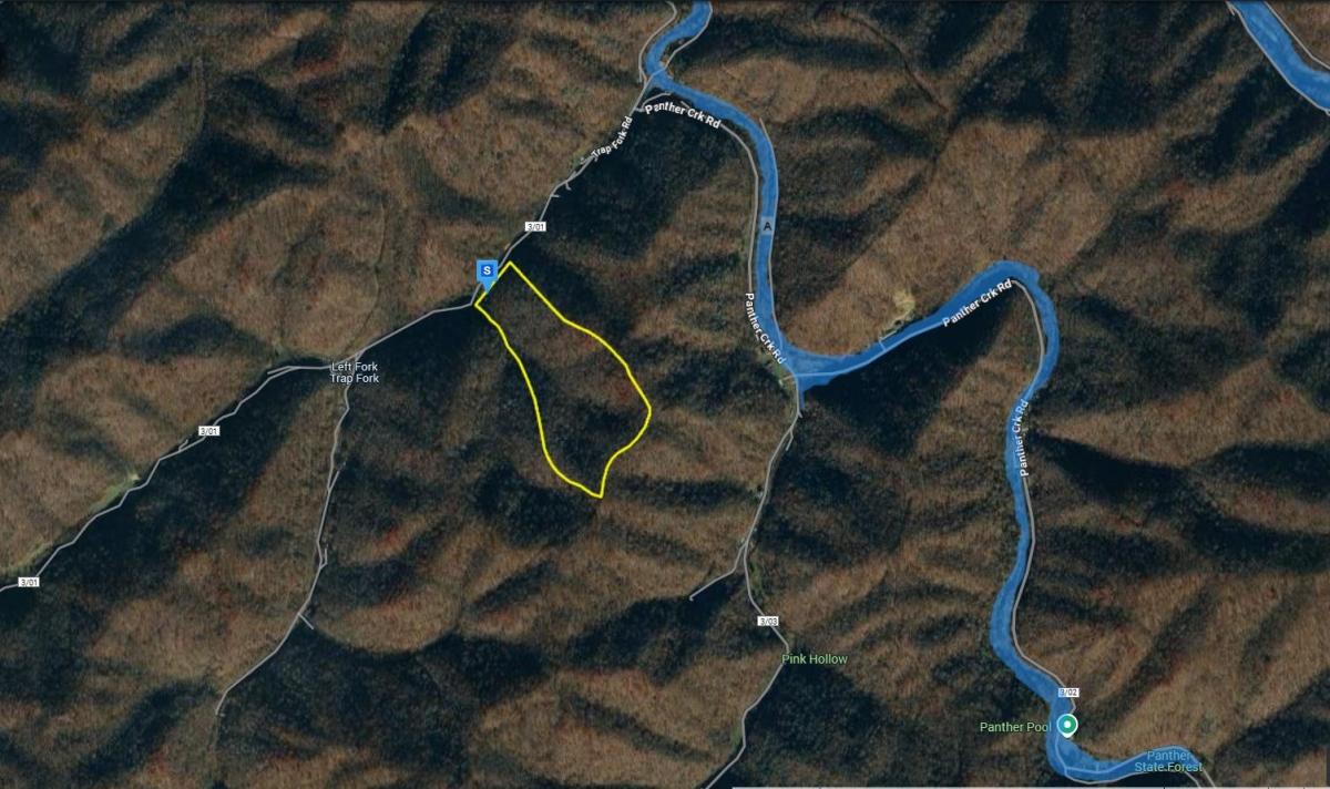 37.6 Acres for Sale in Panther, West Virginia