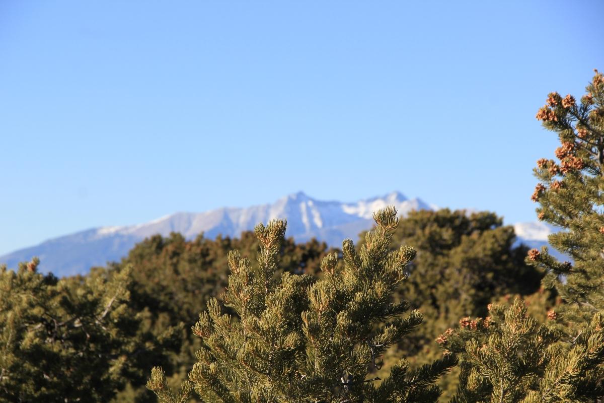 5.19 Acres for Sale in San Luis, Colorado