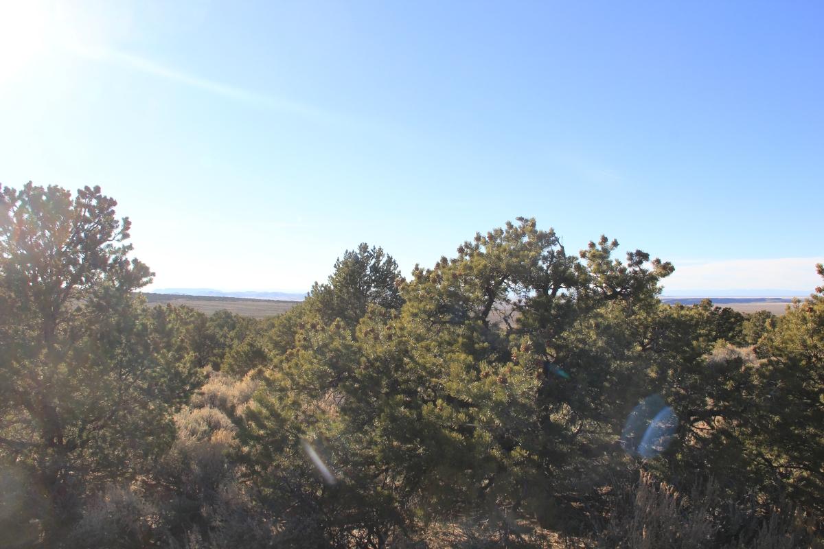 5.19 Acres for Sale in San Luis, Colorado