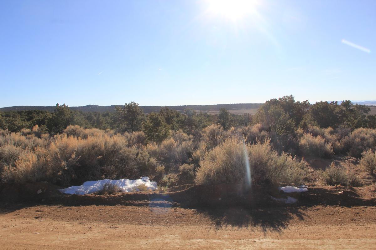 5.19 Acres for Sale in San Luis, Colorado