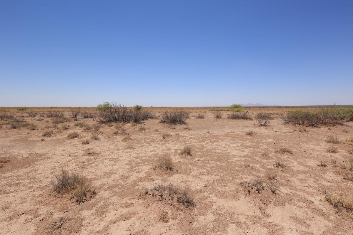 .5 Acres for Sale in Valencia, New Mexico
